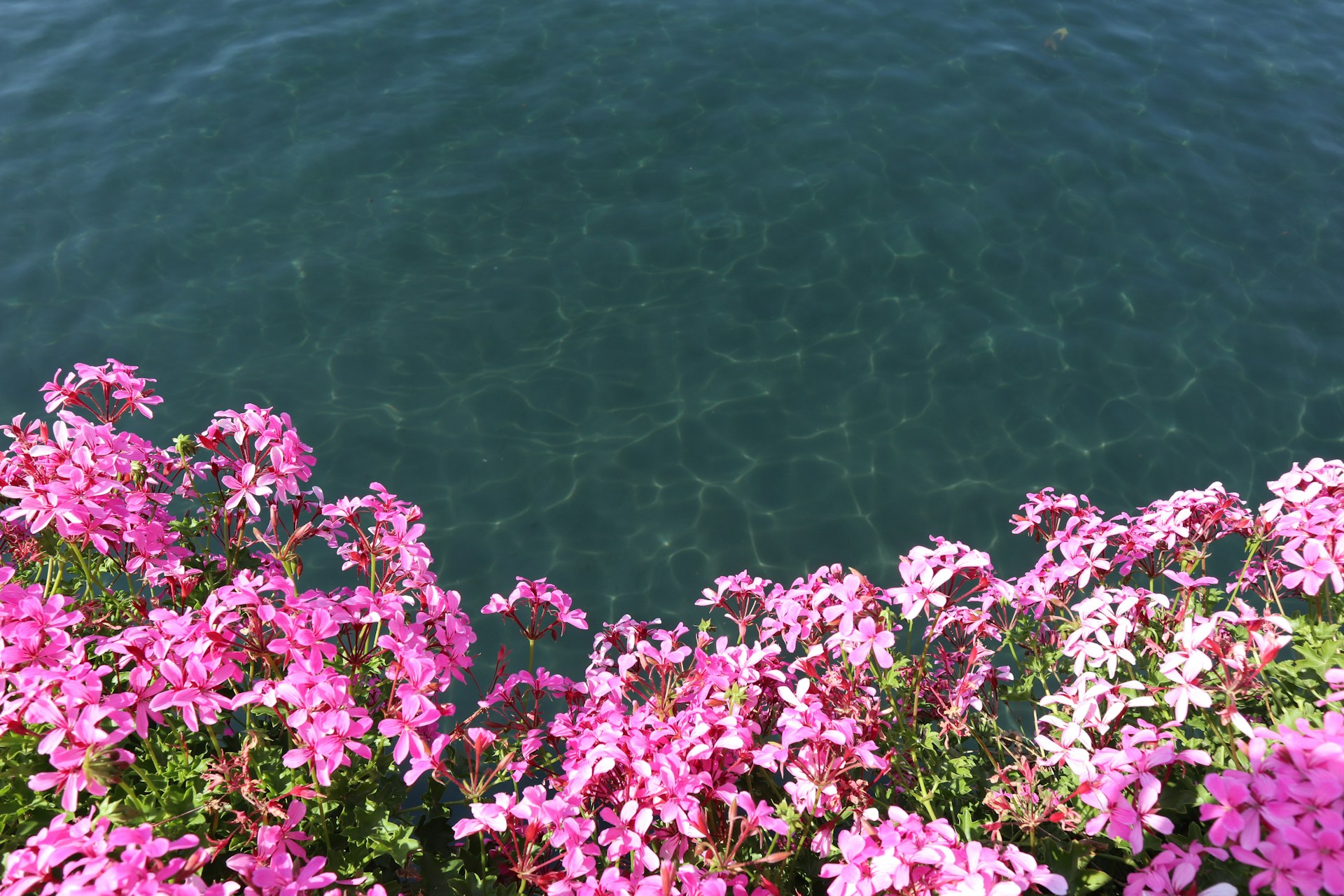 Ventlenlora retraite en France